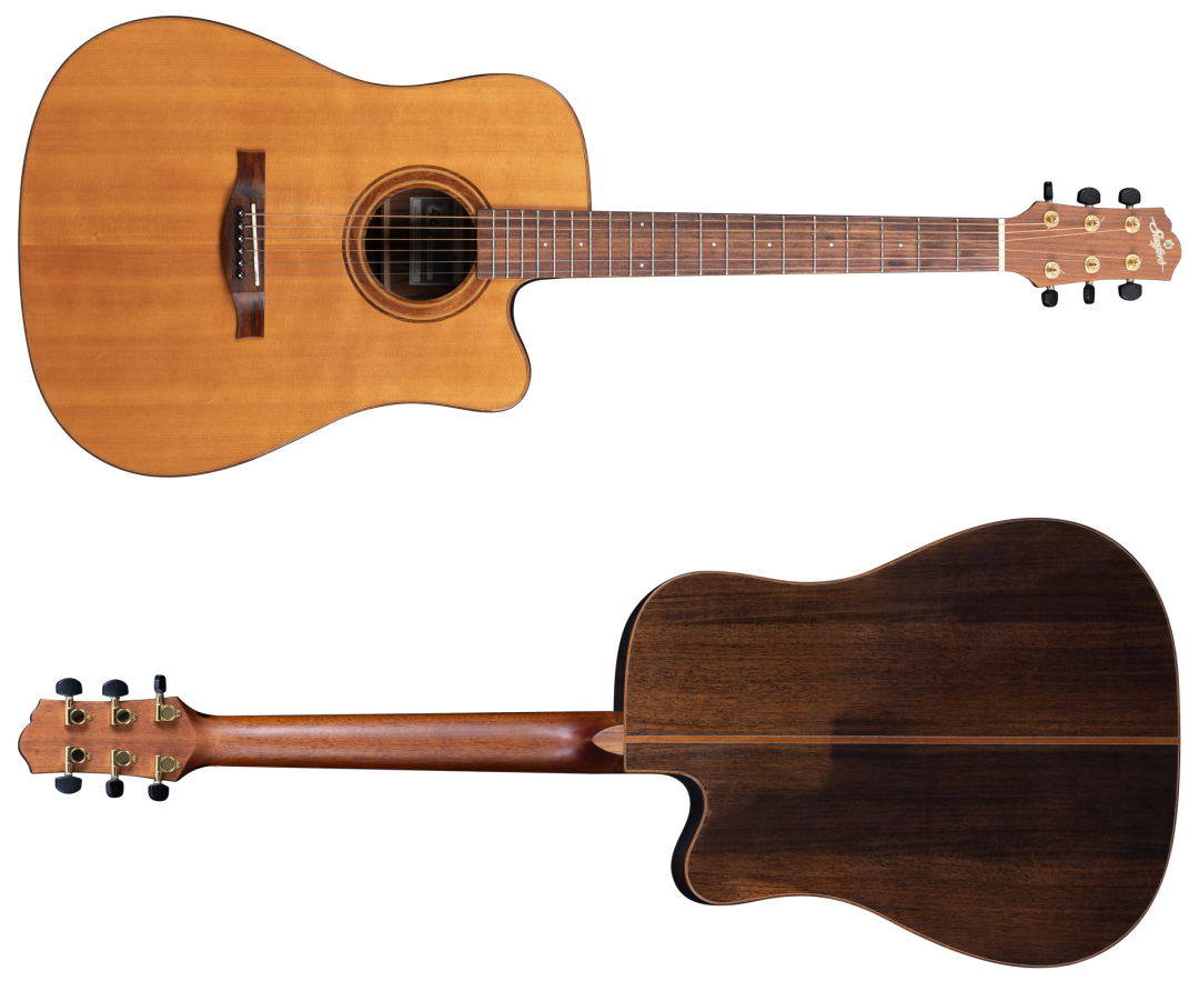 Stanford (Furch) 46-D5-SP ECW